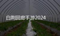 白荆回廊手游2024