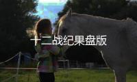 十二战纪果盘版
