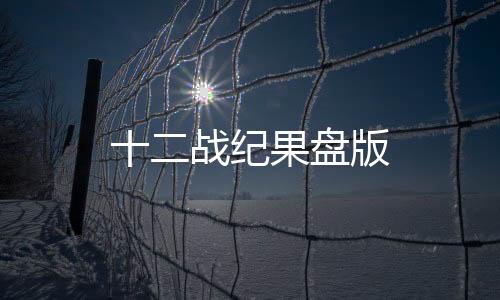 十二战纪果盘版下载