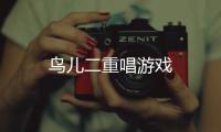 鸟儿二重唱游戏