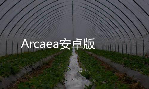 Arcaea安卓版下载