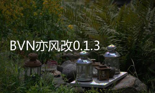 BVN亦风改0.1.3下载