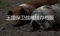 王国保卫战前线存档版