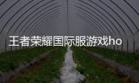 王者荣耀国际服游戏honor of kings