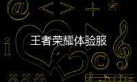 王者荣耀体验服