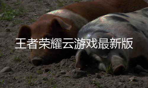 王者荣耀云游戏最新版下载