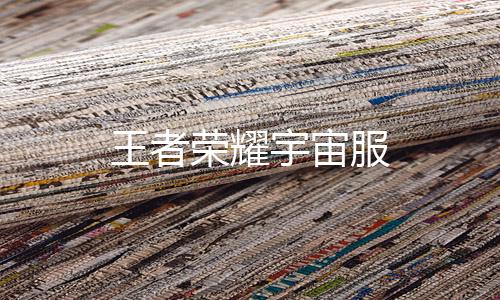 王者荣耀宇宙服下载