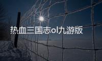 热血三国志ol九游版