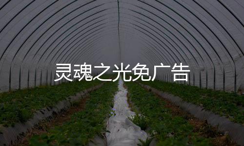 灵魂之光免广告下载