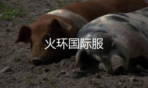 火环国际服下载