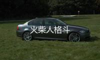 火柴人格斗