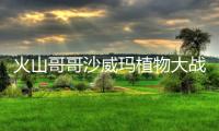 火山哥哥沙威玛植物大战僵尸