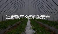 狂野飙车8破解版安卓