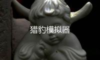 猎豹模拟器