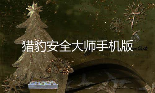 猎豹安全大师手机版下载