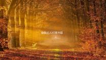 猎鱼达人h5官方版
