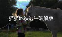 猫猫地铁逃生破解版