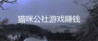 猫咪公社游戏赚钱