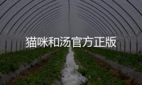 猫咪和汤官方正版