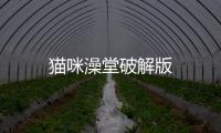 猫咪澡堂破解版