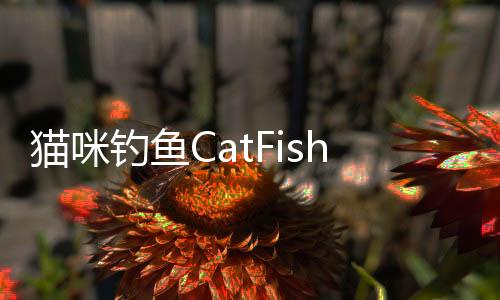 猫咪钓鱼CatFish手游官方版下载