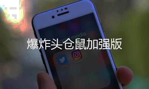 爆炸头仓鼠加强版下载