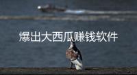 爆出大西瓜赚钱软件