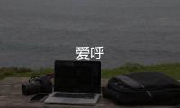 爱呼