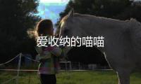 爱收纳的喵喵