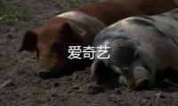爱奇艺