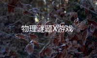 物理谜题X游戏