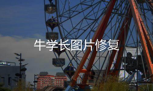 牛学长图片修复下载