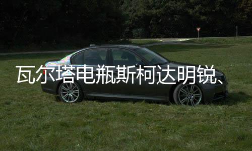 瓦尔塔电瓶斯柯达明锐、晶锐、速派、昕锐、野帝L2-400汽车蓄电池下载