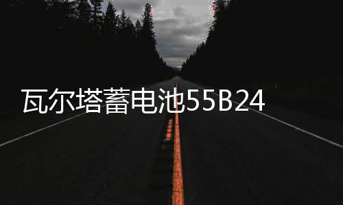 瓦尔塔蓄电池55B24L适配轩逸骊威骐达新阳光锋范1.8汽车电瓶 蓝标下载