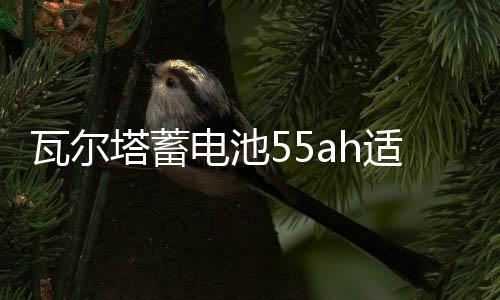 瓦尔塔蓄电池55ah适配别克凯越指南者雪佛兰乐风景程汽车电瓶下载
