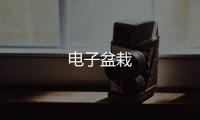 电子盆栽