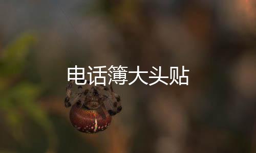 电话簿大头贴下载
