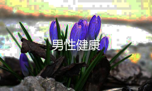 男性健康下载