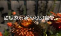 甜瓜游乐场汉化版(自带模组)