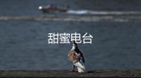 甜蜜电台