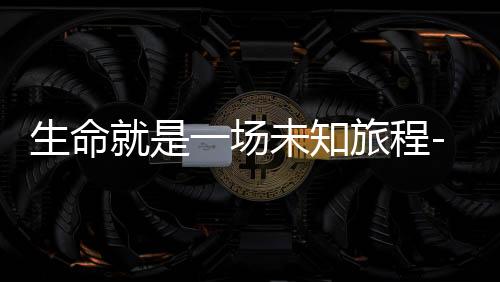 生命就是一场未知旅程-宝软3D主题下载