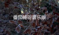 番茄畅听音乐版