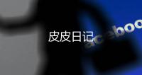 皮皮日记