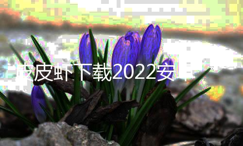 皮皮虾下载2022安卓最新版下载
