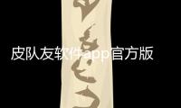 皮队友软件app官方版下载