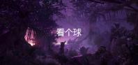 看个球