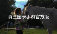 真三国录手游官方版
