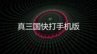 真三国快打手机版
