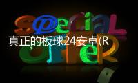 真正的板球24安卓(Real Cricket 24)