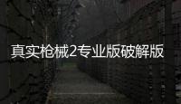 真实枪械2专业版破解版